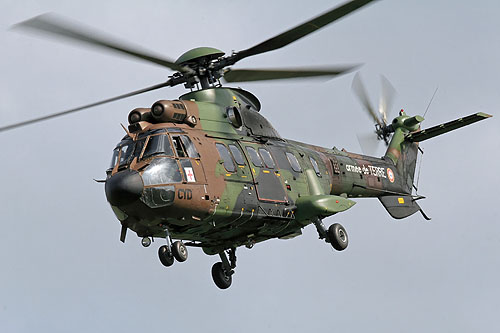 Hélicoptère AS532 Cougar ALAT