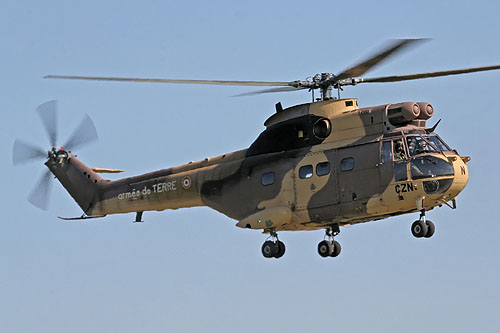 Hélicoptère SA330 Puma ALAT en camouflage désert