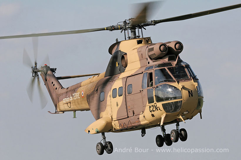 Hélicoptère SA330 Puma ALAT en camouflage désert