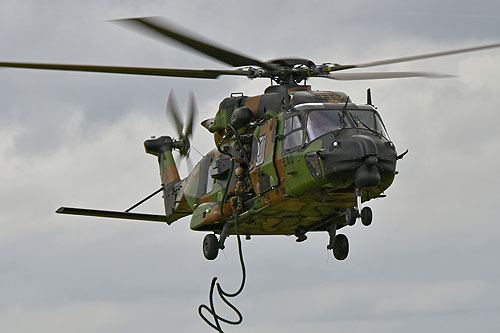 Hélicoptère de transport NH90 TTH Caïman de l'ALAT