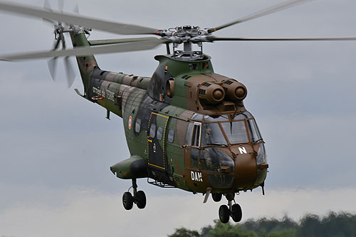 Hélicoptère de transport SA330 Puma ALAT