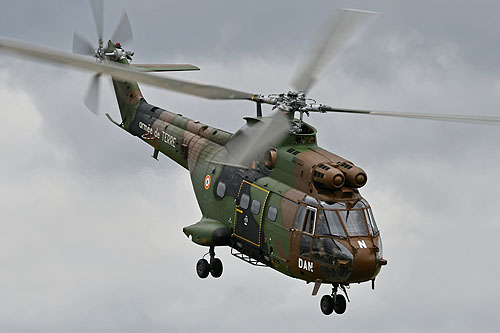 Hélicoptère de transport SA330 Puma ALAT