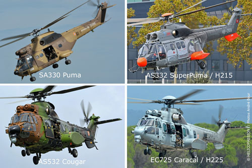 Puma+SuperPuma+Cougar+Caracal