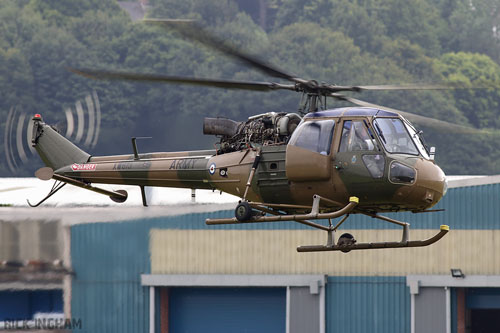 Hélicoptère WESTLAND Scout AH1