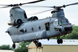 Hélicoptère CH47F Chinook de l'armée de l'Air néerlandaise