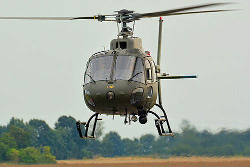 Hélicoptère AS550 Fennec Armée Air Danemark