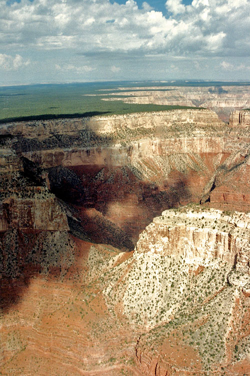 Survol du Grand Canyon en hélicoptère