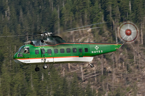 Hélicoptère S61 Seaking de HAYES FOREST SERVICES