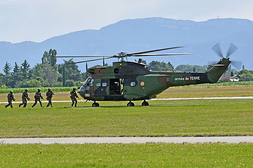 Hélicoptère SA330 Puma ALAT