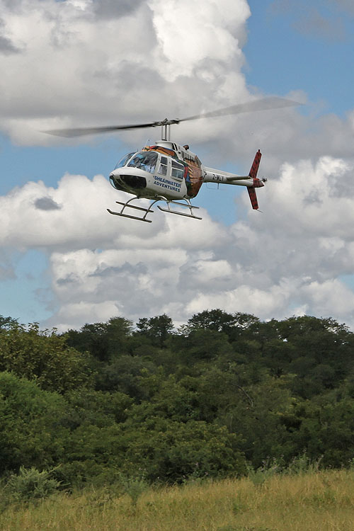 Hélicoptère BELL 206B JetRanger III de SHEARWATER