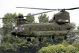 Chinook