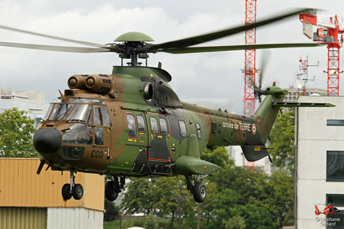 Hélicoptère de transport AS532 Cougar de l'Armée de Terre (ALAT)