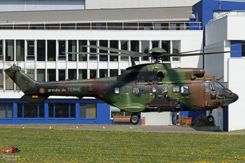 Hélicoptère AS532 Cougar de l'ALAT (Aviation Légère de l'Armée de Terre)