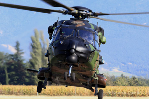 Hélicoptère NH90 TTH de l'ALAT