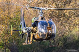 Hélicoptère SA342 Gazelle Gatling ALAT
