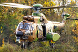 Hélicoptère AS532 Cougar ALAT