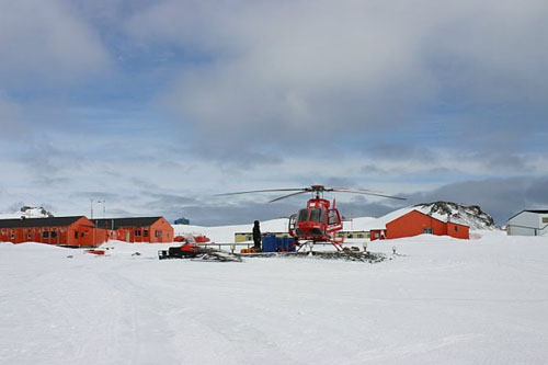 Des chiens et des helicopteres