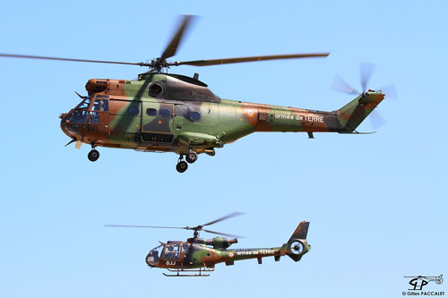 Hélicoptères SA330 Puma DAI et SA342 Gazelle GJJ de l'ALAT (Aviation Légère de l'Armée de Terre) française