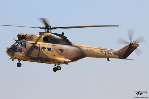 Hélicoptère SA330 Puma DCG de l'ALAT (Aviation Légère de l'Armée de Terre) française