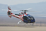 LAS VEGAS HELICOPTERS