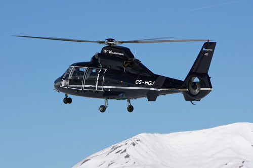 Hélicoptère Eurocopter AS365 Dauphin d'HELI PORTUGAL