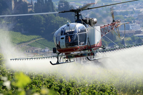 Sulfatage des vignes par hélicoptère