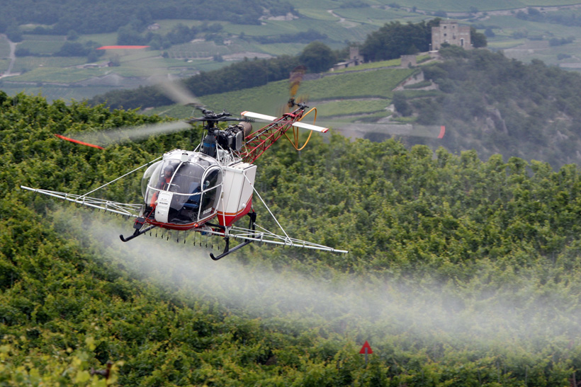 Sulfatage des vignes par hélicoptère