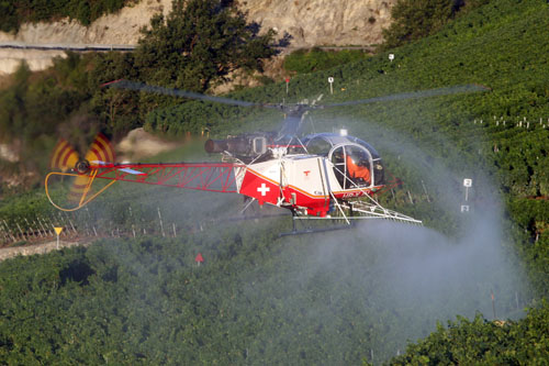 Sulfatage des vignes par hélicoptère