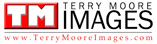 www.TerryMooreImages.com