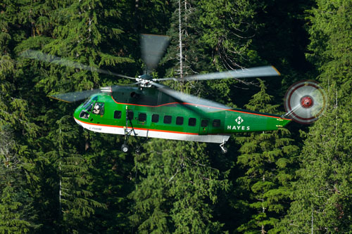 Hélicoptère S61 Seaking de HAYES FOREST SERVICES