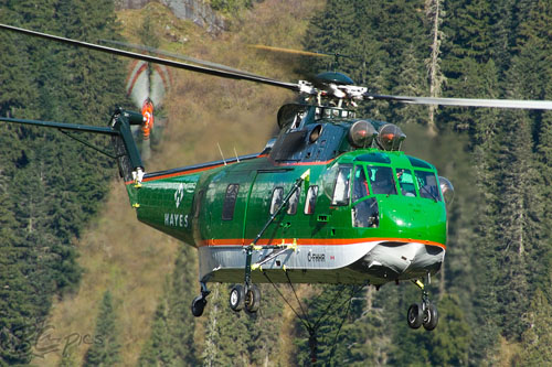 Hélicoptère S61 Seaking de HAYES FOREST SERVICES