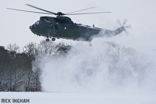 Hélicoptère Seaking