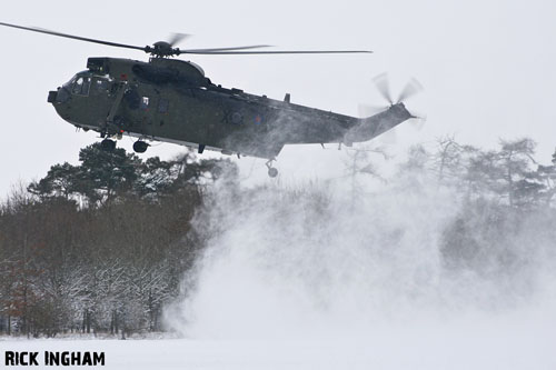 Hélicoptère Seaking