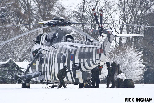 Hélicoptère Seaking