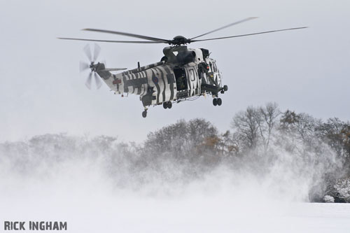 Hélicoptère Seaking