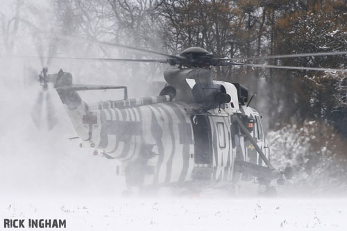 Hélicoptère Seaking