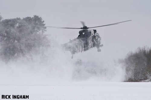 Hélicoptère Seaking