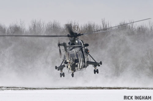 Hélicoptère Seaking