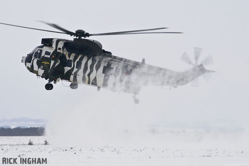 Hélicoptère Seaking