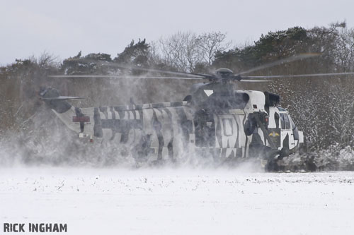 Hélicoptère Seaking