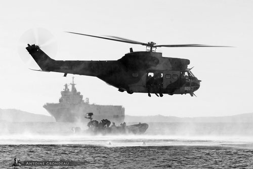 Hélicoptère Puma de l'Armée de Terre (ALAT)