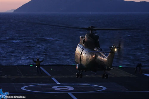 Hélicoptère Puma de l'Armée de Terre (ALAT)