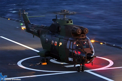 Hélicoptère Puma de l'Armée de Terre (ALAT)