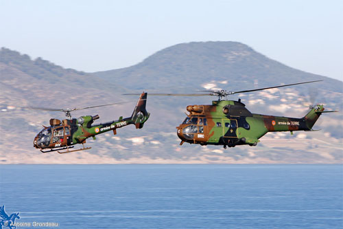 Hélicoptères Gazelle et Puma de l'Armée de Terre (ALAT)