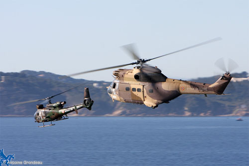 Hélicoptères Gazelle et Puma de l'Armée de Terre (ALAT)