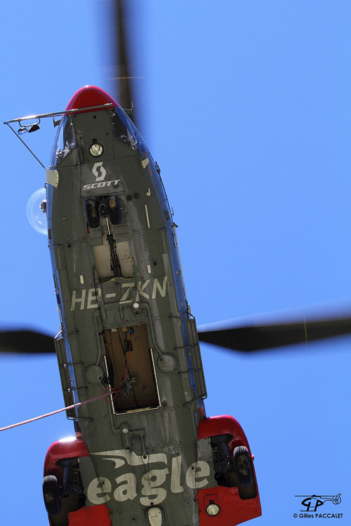 Hélicoptère AS332 C1 SuperPuma HB-ZKN d'EAGLE HELICOPTER