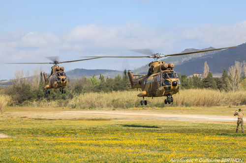 Hélicoptère SA330 Puma ALAT