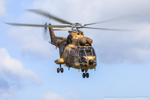 Hélicoptère SA330 Puma ALAT