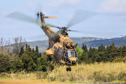 Hélicoptère SA330 Puma ALAT