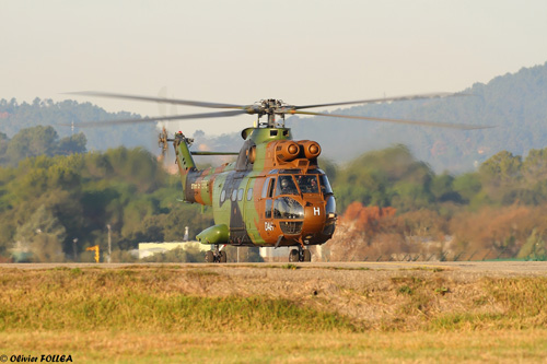 Hélicoptère Puma